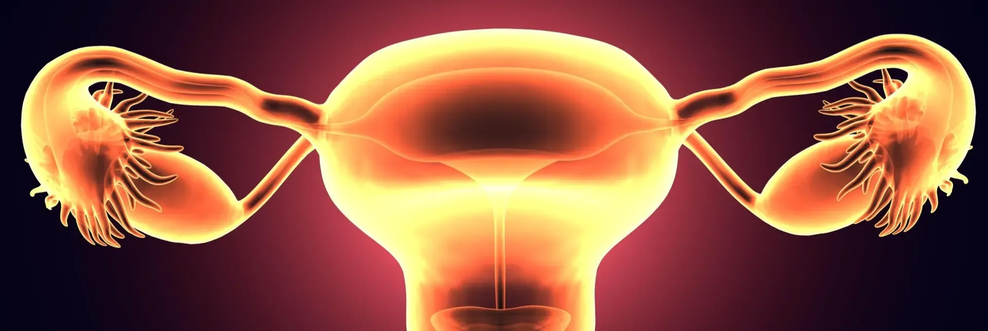 doktoriyilikguzellik.com