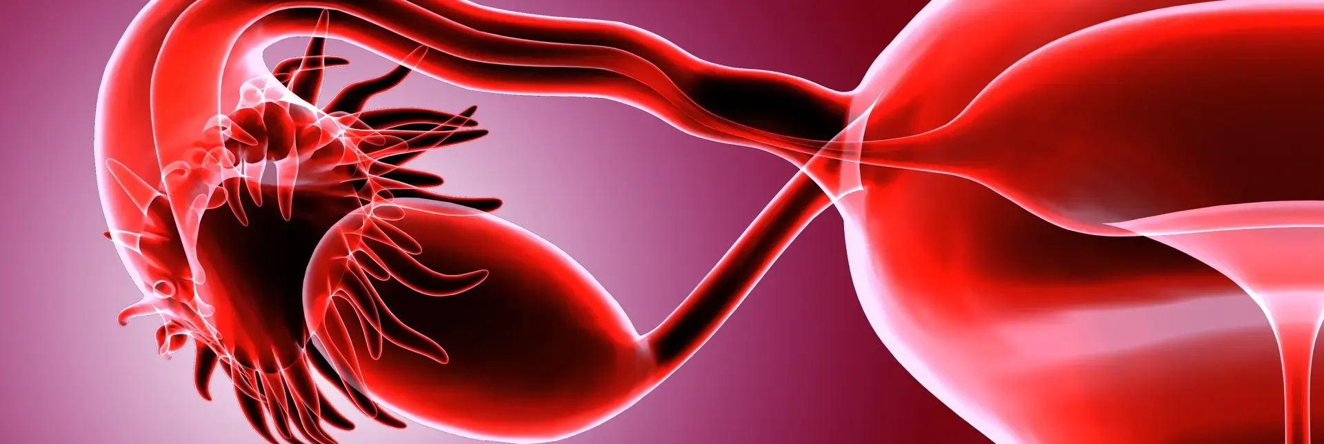 doktoriyilikguzellik.com