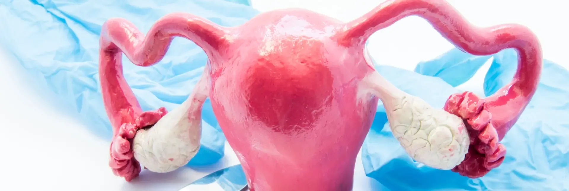 doktoriyilikguzellik.com