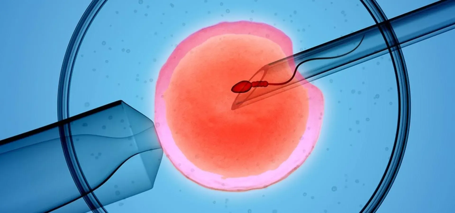 doktoriyilikguzellik.com